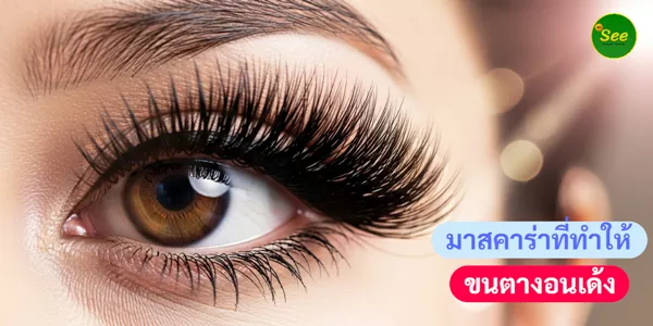 มาสคาร่าที่ทำให้ขนตางอนเด้งเหมือนต่อขนตา