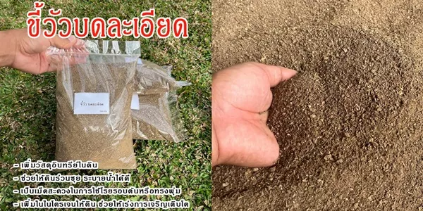 ปุ๋ยขี้วัวบดละเอียด 950 กรัม สุดยอดปุ๋ยอินทรีย์ ปลอดสารเคมี
