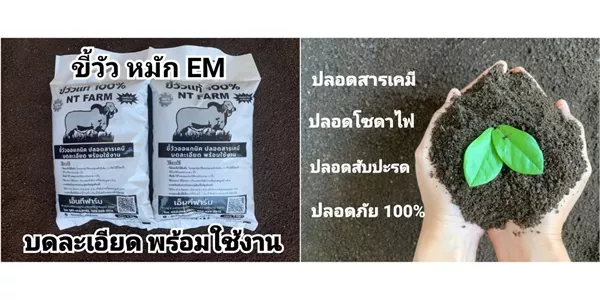 ปุ๋ยขี้วัวออแกนิค สูตรหมัก EM บดละเอียด สุดยอดปุ๋ยคอก ปลูกอะไรก็งาม