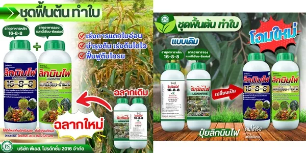 ปุ๋ยน้ำลิกนินไฟ ชุดฟื้นต้นทำใบ 16-8-8 + แมกนีเซียมซัลเฟอร์