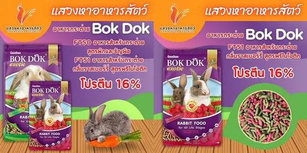อาหารกระต่าย BokDok สูตรผักและธัญพืช และ รสราสเบอร์รี่ 1 กก. อร่อย ครบคุณค่า ขนสวย กลิ่นมูลจาง