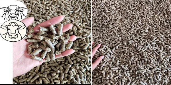 อาหารวัวควายสูตรหญ้าล้วน อัดเม็ดจากเนเปียร์แท้