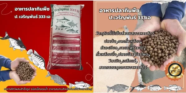 อาหารปลากินพืช ป. เจริญพันธ์ 333 เอ เลี้ยงปลาโตไว