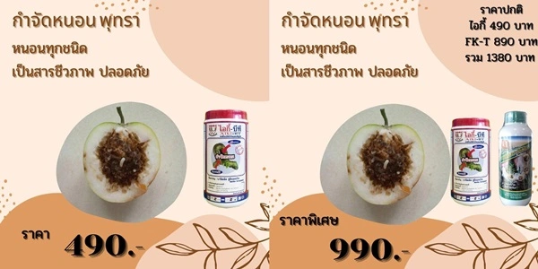 กำจัดหนอนพุทราแบบไม่ใช้เคมี ไอกี้ + FK-T คู่หูธรรมชาติ ปลอดภัย ผลโตไว ฟื้นเร็ว