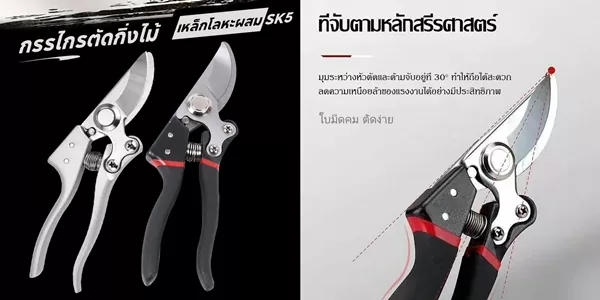 กรรไกรตัดกิ่งไม้ SK5 คมกริบจากญี่ปุ่น ตัดกิ่งหนา 22 มม. ง่ายดายทุกครั้ง