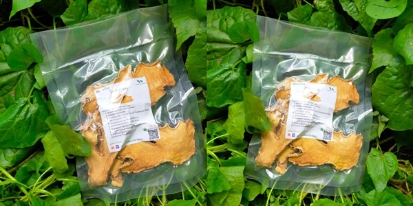 ไพลอบแห้ง ออร์แกนิค แท้ 100% 50-100 กรัม ชาสมุนไพรคัดเกรด ปลอดสาร ตัวช่วยท้องอืด ปวดเมื่อย ขัดผิวที่แท้ทรู