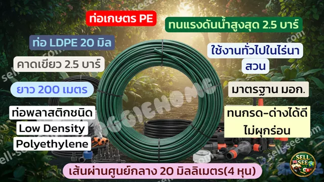 ท่อเกษตร PE LDPE B.W.P. 20 มิล คาดเขียว 2.5 บาร์ 200 เมตร ระบบน้ำเกษตรทนทานที่เกษตรกรเลือกใช้