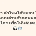 ตามหา ลำโพงใต้หมอน ไว้ฟังเพลงแบบส่วนตัวตอนนอน