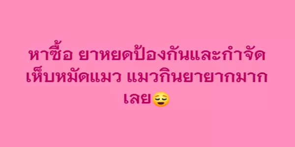 หาซื้อ ยาหยดป้องกันและกำจัดเห็บหมัดแมว แมวกินยายากมากเลย