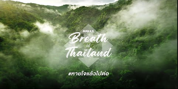 สร้างเส้นทางใหม่ที่เป็นคุณ ไปกับความเย็นสดชื่นของ Halls Fresh Lime