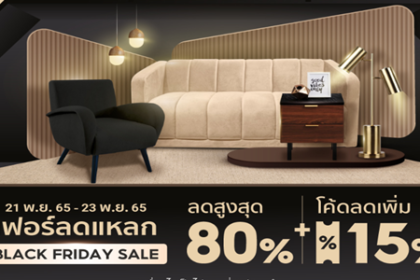 เฟอร์ลดแหลก BLACK FRIDAY SALE 21 - 23 พ.ย. 65